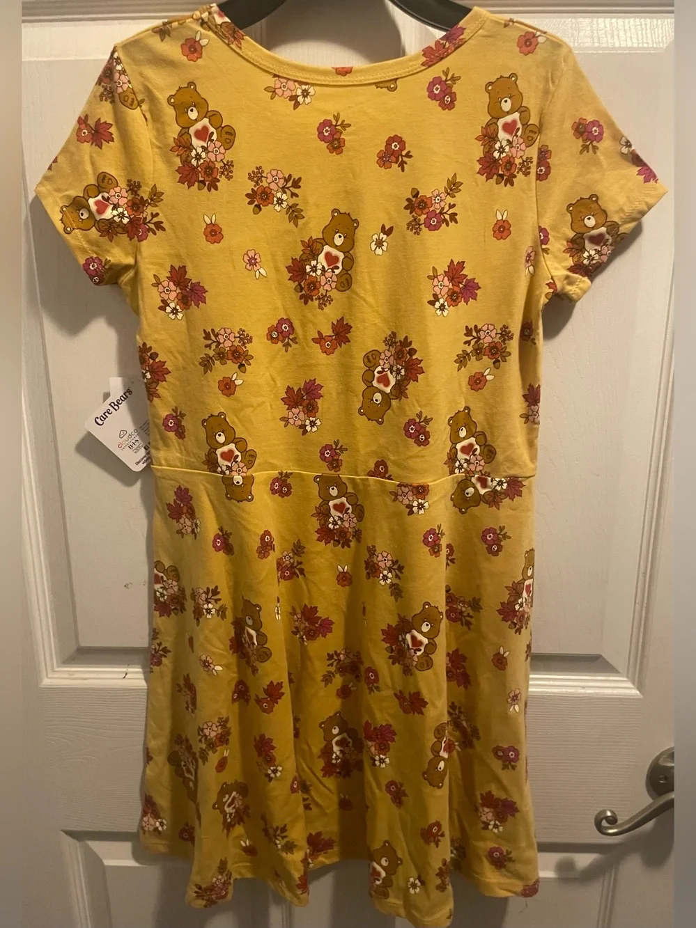 Care Bears Girls Tenderheart Floral Skater Dress L 10/12 NWT